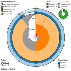 Dataset mSciVul1_1