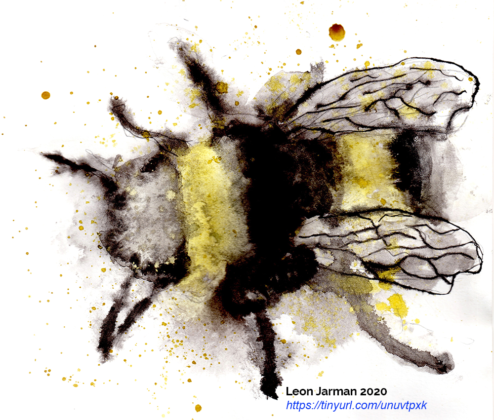 Bumblebee by Leon Jarman