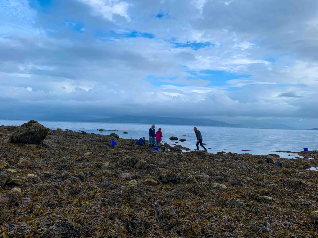 Sample collecting visit to Millport, Scotland