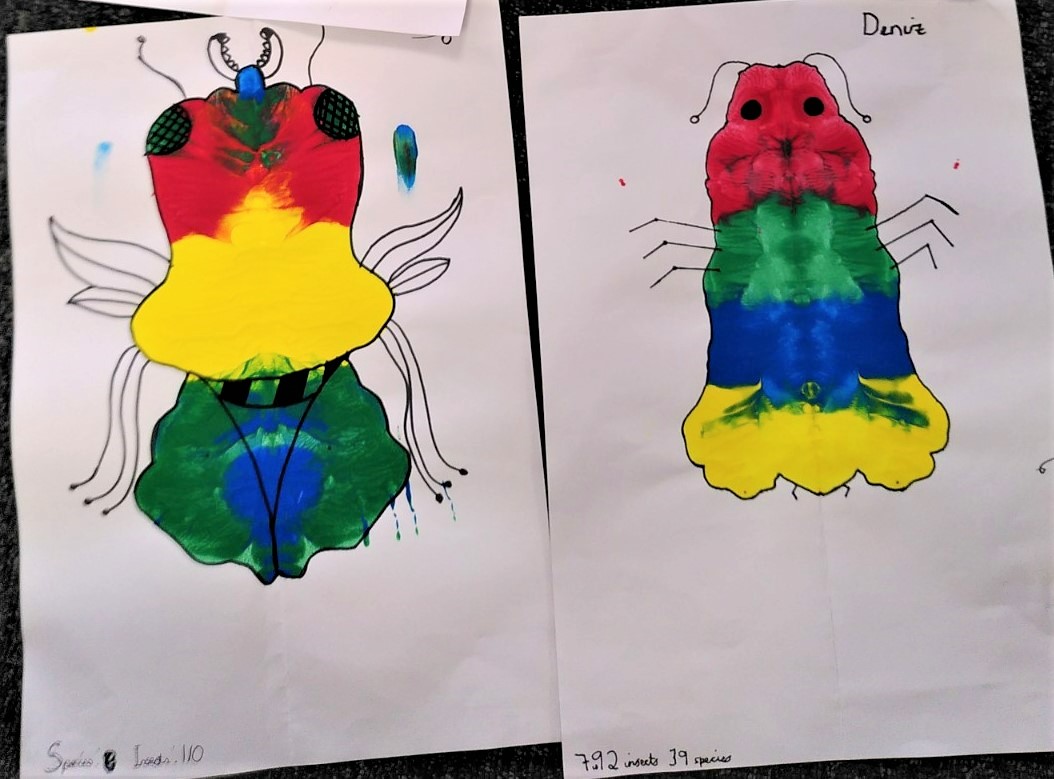Children's ink blot paintings of insects they studied