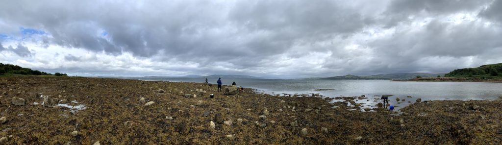 A DToL team from Sanger's Tree of Life programme collects samples on Cumbrae, Scotland