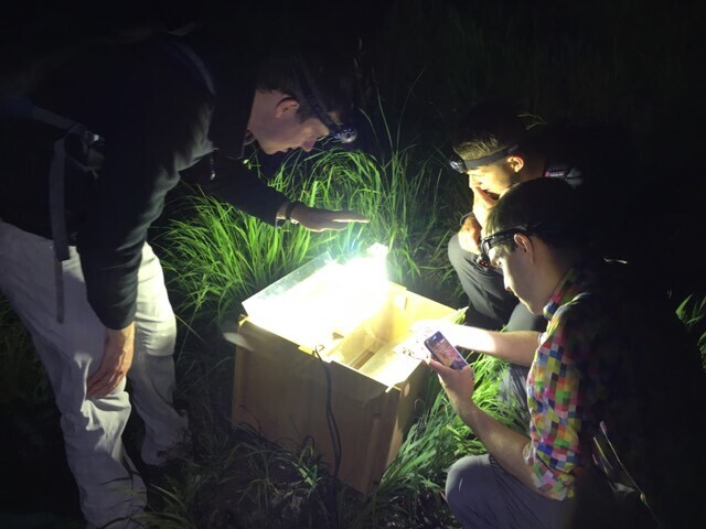 Douglas Boyes with Peter Mulhair and Liam Crowley collecting moths by light trap in Wytham Woods