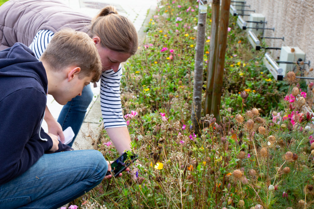 Barcoding the Broads training