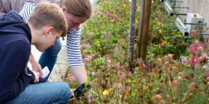 Barcoding the Broads training