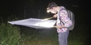 Douglas Boyes collecting moths via beating