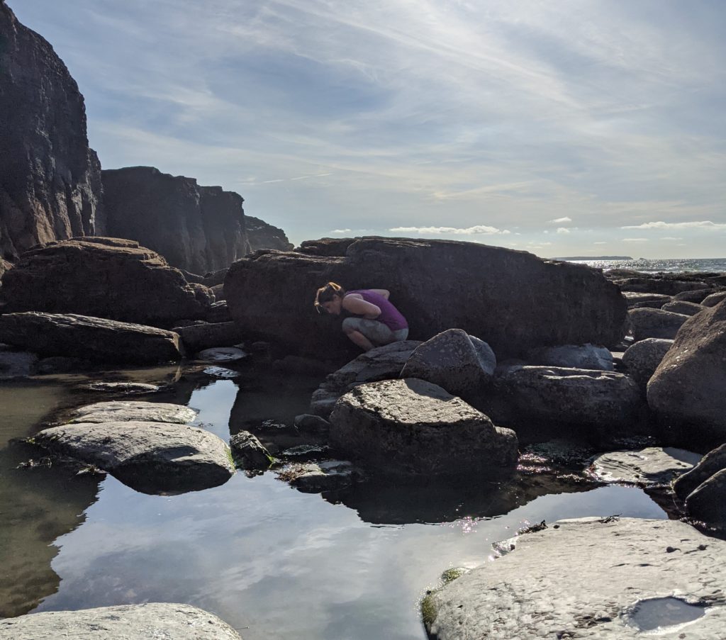 MBA scientist Joanna Harley searches the rockpools of Pembrokeshire, Wales