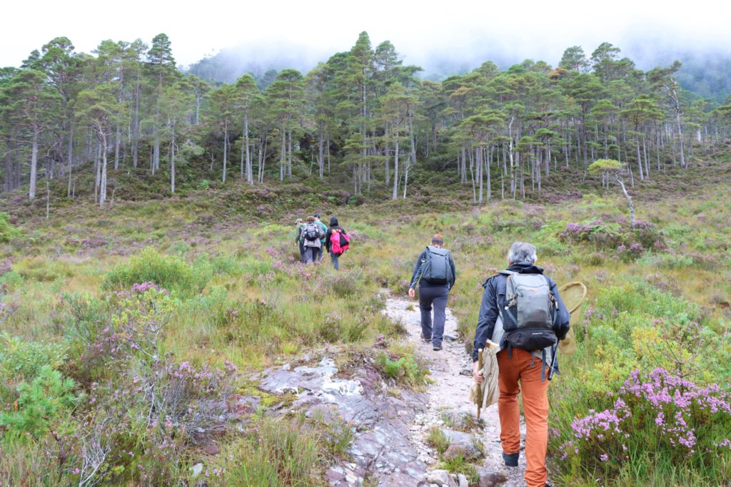 Beinn EIghe field trip