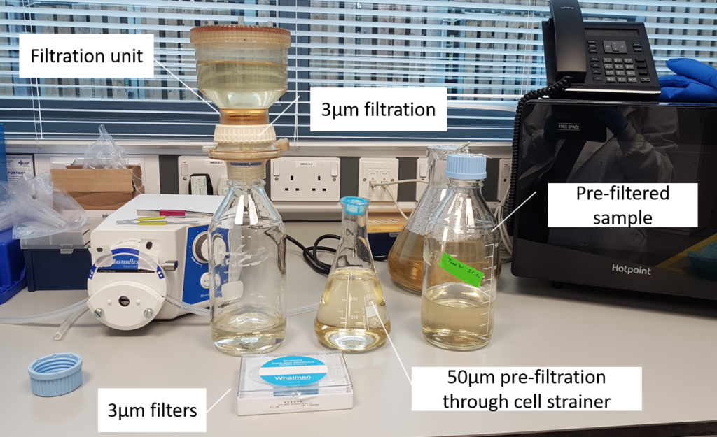 Protist sample processing