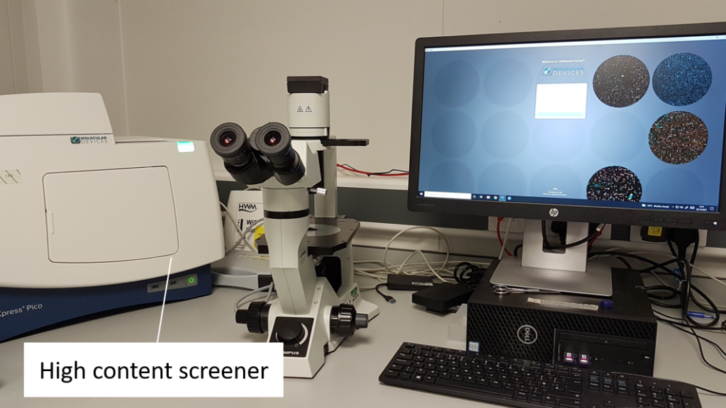 cell imaging protists