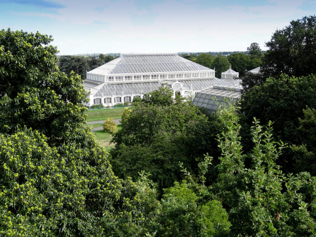 The Temperate House at the Royal Botanic Gardens, Kew